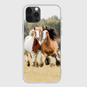 Чехол для iPhone 12 Pro Max с принтом Лошади в Санкт-Петербурге, Силикон |  | animal | free | horse | mane | nature | pair | polish | wild | грива | дикий | животное | конь | лоск | лошадь | пара | природа | свободный | скакун
