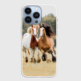 Чехол для iPhone 13 Pro с принтом Лошади в Санкт-Петербурге,  |  | animal | free | horse | mane | nature | pair | polish | wild | грива | дикий | животное | конь | лоск | лошадь | пара | природа | свободный | скакун