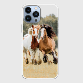 Чехол для iPhone 13 Pro Max с принтом Лошади в Санкт-Петербурге,  |  | animal | free | horse | mane | nature | pair | polish | wild | грива | дикий | животное | конь | лоск | лошадь | пара | природа | свободный | скакун