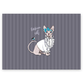 Поздравительная открытка с принтом Fashion cat в Санкт-Петербурге, 100% бумага | плотность бумаги 280 г/м2, матовая, на обратной стороне линовка и место для марки
 | bird | bow | breed | cat | glamor | look | muzzle | sphinx | style | tail | бант | взгляд | гламур | кошка | порода | птица | стиль | сфинкс | хвост