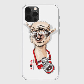 Чехол для iPhone 12 Pro Max с принтом #NoDrama в Санкт-Петербурге, Силикон |  | alpaca | animal | camera | cool | drama | hashtag | head | inscription | llama | look | nodrama | photographer | альпака | взгляд | голова | драма | животное | камера | лама | надпись | очки | прикольный | фотоаппарат | фотограф | хэштег