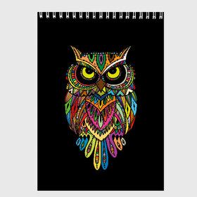 Скетчбук с принтом Сова в Санкт-Петербурге, 100% бумага
 | 48 листов, плотность листов — 100 г/м2, плотность картонной обложки — 250 г/м2. Листы скреплены сверху удобной пружинной спиралью | art | background | big | bird | black | drawing | eyes | multicolored | owl | sight | symbol | wisdom | большие | взгляд | глаза | искусство | мудрость | птица | разноцветный | рисунок | символ | сова | филин | фон | черный