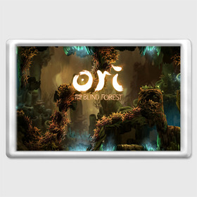 Магнит 45*70 с принтом Ori and the Blind Forest в Санкт-Петербурге, Пластик | Размер: 78*52 мм; Размер печати: 70*45 | Тематика изображения на принте: blind forest | ori | sein | белка | гумо | кошка | куро | лиса | нару | непроглядный лес | ори | платформер | птенец | сейн | сова