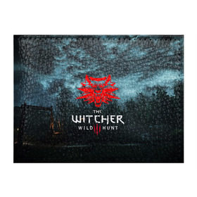 Обложка для студенческого билета с принтом THE WITCHER 3:WILD HUNT в Санкт-Петербурге, натуральная кожа | Размер: 11*8 см; Печать на всей внешней стороне | Тематика изображения на принте: cd projekt red | ciri | game | geralt | geralt of rivia | gwynbleidd | the witcher | the witcher 3: wild hunt | ведьмак | ведьмак 3: дикая охота | геральт | геральт из ривии | цири | цирилла