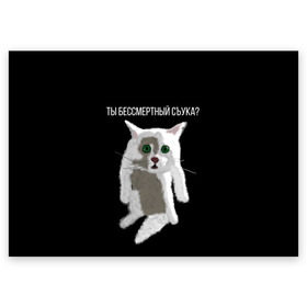 Поздравительная открытка с принтом Кот Гопник в Санкт-Петербурге, 100% бумага | плотность бумаги 280 г/м2, матовая, на обратной стороне линовка и место для марки
 | Тематика изображения на принте: cat | гопник | злой кот | интернет приколы | кот | котик | кошак | мем | мемы | надпись | рисунок