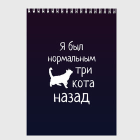 Скетчбук с принтом Я был в норме три кота назад в Санкт-Петербурге, 100% бумага
 | 48 листов, плотность листов — 100 г/м2, плотность картонной обложки — 250 г/м2. Листы скреплены сверху удобной пружинной спиралью | Тематика изображения на принте: cats | normal | жизненно | жизнь | котики | коты | котэ | кошатник | кошатница | кошка | кошки | нормальный
