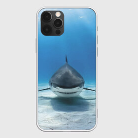 Чехол для iPhone 12 Pro Max с принтом Анфас в Санкт-Петербурге, Силикон |  | bottom | fin | full face | jaw | ocean | sand | shark | water | акула | анфас | вода | дно | океан | песок | плавник