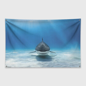 Флаг-баннер с принтом Анфас в Санкт-Петербурге, 100% полиэстер | размер 67 х 109 см, плотность ткани — 95 г/м2; по краям флага есть четыре люверса для крепления | bottom | fin | full face | jaw | ocean | sand | shark | water | акула | анфас | вода | дно | океан | песок | плавник