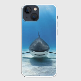 Чехол для iPhone 13 mini с принтом Анфас в Санкт-Петербурге,  |  | bottom | fin | full face | jaw | ocean | sand | shark | water | акула | анфас | вода | дно | океан | песок | плавник
