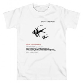 Мужская футболка хлопок с принтом Banggai Cardinalfish в Санкт-Петербурге, 100% хлопок | прямой крой, круглый вырез горловины, длина до линии бедер, слегка спущенное плечо. | animals | red book | red list | животные | животные из красной книги | красная книга | редкие животные