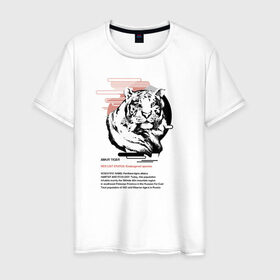 Мужская футболка хлопок с принтом Amur tiger в Санкт-Петербурге, 100% хлопок | прямой крой, круглый вырез горловины, длина до линии бедер, слегка спущенное плечо. | animals | red book | red list | животные | животные из красной книги | красная книга | редкие животные