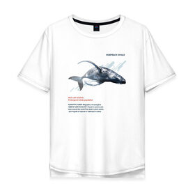 Мужская футболка хлопок Oversize с принтом Hampback whale в Санкт-Петербурге, 100% хлопок | свободный крой, круглый ворот, “спинка” длиннее передней части | animals | red book | red list | животные | животные из красной книги | красная книга | редкие животные