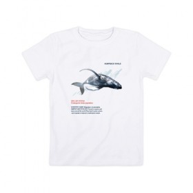 Детская футболка хлопок с принтом Hampback whale в Санкт-Петербурге, 100% хлопок | круглый вырез горловины, полуприлегающий силуэт, длина до линии бедер | animals | red book | red list | животные | животные из красной книги | красная книга | редкие животные