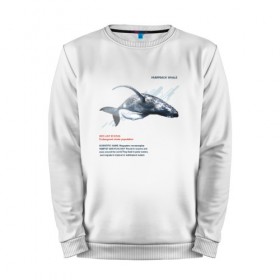 Мужской свитшот хлопок с принтом Hampback whale в Санкт-Петербурге, 100% хлопок |  | animals | red book | red list | животные | животные из красной книги | красная книга | редкие животные