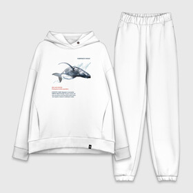 Женский костюм хлопок Oversize с принтом Hampback whale в Санкт-Петербурге,  |  | animals | red book | red list | животные | животные из красной книги | красная книга | редкие животные