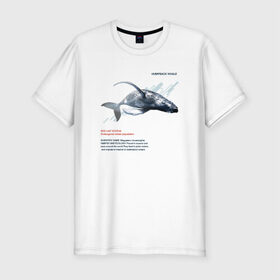 Мужская футболка премиум с принтом Hampback whale в Санкт-Петербурге, 92% хлопок, 8% лайкра | приталенный силуэт, круглый вырез ворота, длина до линии бедра, короткий рукав | animals | red book | red list | животные | животные из красной книги | красная книга | редкие животные
