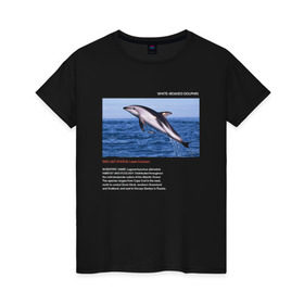 Женская футболка хлопок с принтом White-beaked Dolphin в Санкт-Петербурге, 100% хлопок | прямой крой, круглый вырез горловины, длина до линии бедер, слегка спущенное плечо | animals | red book | red list | животные | животные из красной книги | красная книга | редкие животные