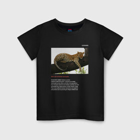 Детская футболка хлопок с принтом Leopard в Санкт-Петербурге, 100% хлопок | круглый вырез горловины, полуприлегающий силуэт, длина до линии бедер | animals | red book | red list | животные | животные из красной книги | красная книга | редкие животные