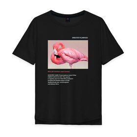 Мужская футболка хлопок Oversize с принтом Greater Flamingo в Санкт-Петербурге, 100% хлопок | свободный крой, круглый ворот, “спинка” длиннее передней части | animals | red book | red list | животные | животные из красной книги | красная книга | редкие животные | фламинго