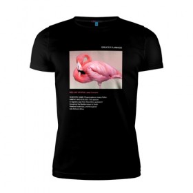 Мужская футболка премиум с принтом Greater Flamingo в Санкт-Петербурге, 92% хлопок, 8% лайкра | приталенный силуэт, круглый вырез ворота, длина до линии бедра, короткий рукав | animals | red book | red list | животные | животные из красной книги | красная книга | редкие животные | фламинго