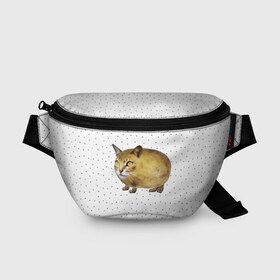 Поясная сумка 3D с принтом ЧИЛИПИ*ДРИК в Санкт-Петербурге, 100% полиэстер | плотная ткань, ремень с регулируемой длиной, внутри несколько карманов для мелочей, основное отделение и карман с обратной стороны сумки застегиваются на молнию | internet | meme | memes | pikabu | интернет | картофель | картошка | киса | киска | кот | котенок | котик | коты | котята | кошки | мем | мемас | мемасы | мемы | пикабу | прикол | приколы | чикибряк | шутка | юмор