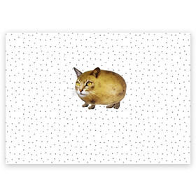 Поздравительная открытка с принтом ЧИЛИПИ*ДРИК в Санкт-Петербурге, 100% бумага | плотность бумаги 280 г/м2, матовая, на обратной стороне линовка и место для марки
 | Тематика изображения на принте: internet | meme | memes | pikabu | интернет | картофель | картошка | киса | киска | кот | котенок | котик | коты | котята | кошки | мем | мемас | мемасы | мемы | пикабу | прикол | приколы | чикибряк | шутка | юмор