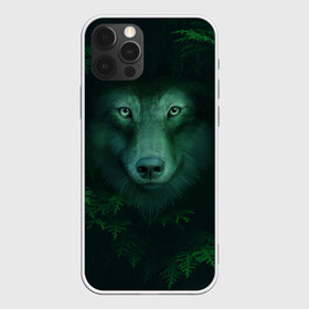 Чехол для iPhone 12 Pro Max с принтом Сибирь Лесной волк в Санкт-Петербурге, Силикон |  | safesibiria | siberia | алтай | волк | дикий | елки | ель | лес | охота | сибирь | сибирь горит | сибирьгорит | спаситесибирь | тайга | шерегеш | экология
