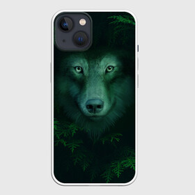 Чехол для iPhone 13 с принтом Сибирь. Лесной волк в Санкт-Петербурге,  |  | safesibiria | siberia | алтай | волк | дикий | елки | ель | лес | охота | сибирь | сибирь горит | сибирьгорит | спаситесибирь | тайга | шерегеш | экология