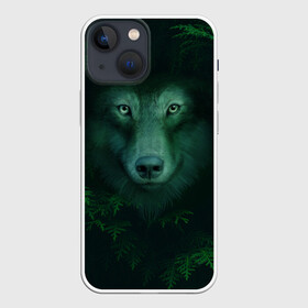 Чехол для iPhone 13 mini с принтом Сибирь. Лесной волк в Санкт-Петербурге,  |  | safesibiria | siberia | алтай | волк | дикий | елки | ель | лес | охота | сибирь | сибирь горит | сибирьгорит | спаситесибирь | тайга | шерегеш | экология