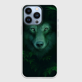 Чехол для iPhone 13 Pro с принтом Сибирь. Лесной волк в Санкт-Петербурге,  |  | safesibiria | siberia | алтай | волк | дикий | елки | ель | лес | охота | сибирь | сибирь горит | сибирьгорит | спаситесибирь | тайга | шерегеш | экология