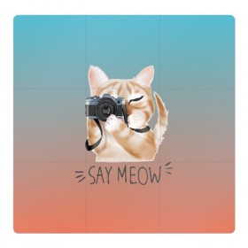 Магнитный плакат 3Х3 с принтом Say Meow в Санкт-Петербурге, Полимерный материал с магнитным слоем | 9 деталей размером 9*9 см | meow | кот | котенок | котик | котики | котятка | кошка | мяу | скажи мяу | фотоаппарат | фотограф