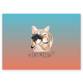 Поздравительная открытка с принтом Say Meow в Санкт-Петербурге, 100% бумага | плотность бумаги 280 г/м2, матовая, на обратной стороне линовка и место для марки
 | meow | кот | котенок | котик | котики | котятка | кошка | мяу | скажи мяу | фотоаппарат | фотограф