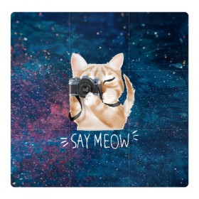 Магнитный плакат 3Х3 с принтом Say Meow в Санкт-Петербурге, Полимерный материал с магнитным слоем | 9 деталей размером 9*9 см | meow | кот | котенок | котик | котики | котятка | кошка | мяу | скажи мяу | фотоаппарат | фотограф