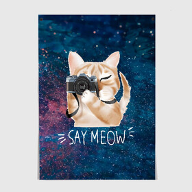 Постер с принтом Say Meow в Санкт-Петербурге, 100% бумага
 | бумага, плотность 150 мг. Матовая, но за счет высокого коэффициента гладкости имеет небольшой блеск и дает на свету блики, но в отличии от глянцевой бумаги не покрыта лаком | meow | кот | котенок | котик | котики | котятка | кошка | мяу | скажи мяу | фотоаппарат | фотограф