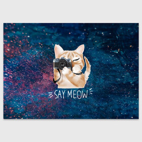 Поздравительная открытка с принтом Say Meow в Санкт-Петербурге, 100% бумага | плотность бумаги 280 г/м2, матовая, на обратной стороне линовка и место для марки
 | Тематика изображения на принте: meow | кот | котенок | котик | котики | котятка | кошка | мяу | скажи мяу | фотоаппарат | фотограф