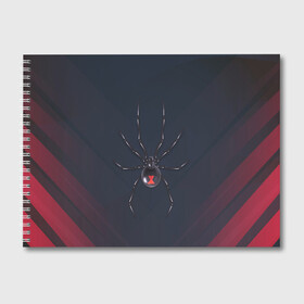 Альбом для рисования с принтом Каракурт в Санкт-Петербурге, 100% бумага
 | матовая бумага, плотность 200 мг. | marvel | spider | австралия | арахнофобия | вдова | кокон | красная | марвел | муха | насекомое | нить | паутина | полосы | сеть | спайдер | супергерой | тарантул | укус | фобия | черная | яд