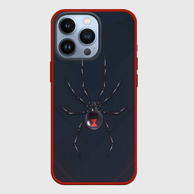 Чехол для iPhone 13 Pro с принтом Каракурт в Санкт-Петербурге,  |  | marvel | spider | австралия | арахнофобия | вдова | кокон | красная | марвел | муха | насекомое | нить | паутина | полосы | сеть | спайдер | супергерой | тарантул | укус | фобия | черная | яд