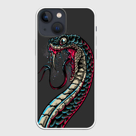 Чехол для iPhone 13 mini с принтом Viper в Санкт-Петербурге,  |  | animals | art | poison | snake | venom | venomous | viper | арт | гадюка | животное | животные | змеи | змей | змея | картинка | картинки | прикольная | прикольные | яд | ядовитая | ядовитый