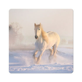 Магнит виниловый Квадрат с принтом Белая лошадь на снегу в Санкт-Петербурге, полимерный материал с магнитным слоем | размер 9*9 см, закругленные углы | белая | белый | декабрь | животное | животные | звери | зверь | зима | зимний | зимой | кони | конь | копытные | копытный | лошади | лошадь | снег | снега | снегу | снежный | февраль | январь