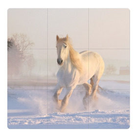 Магнитный плакат 3Х3 с принтом Белая лошадь на снегу в Санкт-Петербурге, Полимерный материал с магнитным слоем | 9 деталей размером 9*9 см | белая | белый | декабрь | животное | животные | звери | зверь | зима | зимний | зимой | кони | конь | копытные | копытный | лошади | лошадь | снег | снега | снегу | снежный | февраль | январь