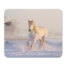 Коврик для мышки прямоугольный с принтом Белая лошадь на снегу в Санкт-Петербурге, натуральный каучук | размер 230 х 185 мм; запечатка лицевой стороны | Тематика изображения на принте: белая | белый | декабрь | животное | животные | звери | зверь | зима | зимний | зимой | кони | конь | копытные | копытный | лошади | лошадь | снег | снега | снегу | снежный | февраль | январь