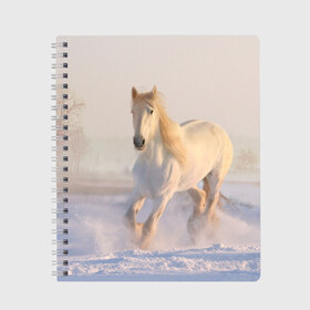 Тетрадь с принтом Белая лошадь на снегу в Санкт-Петербурге, 100% бумага | 48 листов, плотность листов — 60 г/м2, плотность картонной обложки — 250 г/м2. Листы скреплены сбоку удобной пружинной спиралью. Уголки страниц и обложки скругленные. Цвет линий — светло-серый
 | белая | белый | декабрь | животное | животные | звери | зверь | зима | зимний | зимой | кони | конь | копытные | копытный | лошади | лошадь | снег | снега | снегу | снежный | февраль | январь