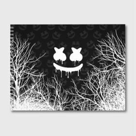 Альбом для рисования с принтом MARSHMELLO HALLOWEEN в Санкт-Петербурге, 100% бумага
 | матовая бумага, плотность 200 мг. | america | dj | halloween | marshmello | marshmello halloween | usa | америка | маршмелло | маршмелло хеллоуин | хеллоуин | хэллоуин