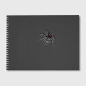 Альбом для рисования с принтом Паук в Санкт-Петербурге, 100% бумага
 | матовая бумага, плотность 200 мг. | animal | animals | poison | spider | venom | вдова | животные | каракурт | паук | паутина | паучок | черная | черная вдова | яд