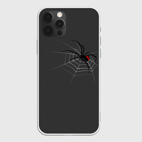 Чехол для iPhone 12 Pro Max с принтом Паук в Санкт-Петербурге, Силикон |  | animal | animals | poison | spider | venom | вдова | животные | каракурт | паук | паутина | паучок | черная | черная вдова | яд