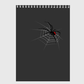 Скетчбук с принтом Паук в Санкт-Петербурге, 100% бумага
 | 48 листов, плотность листов — 100 г/м2, плотность картонной обложки — 250 г/м2. Листы скреплены сверху удобной пружинной спиралью | animal | animals | poison | spider | venom | вдова | животные | каракурт | паук | паутина | паучок | черная | черная вдова | яд