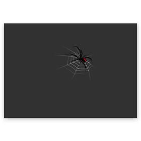 Поздравительная открытка с принтом Паук в Санкт-Петербурге, 100% бумага | плотность бумаги 280 г/м2, матовая, на обратной стороне линовка и место для марки
 | animal | animals | poison | spider | venom | вдова | животные | каракурт | паук | паутина | паучок | черная | черная вдова | яд