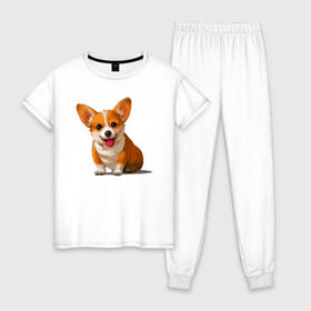 Женская пижама хлопок с принтом Корги в Санкт-Петербурге, 100% хлопок | брюки и футболка прямого кроя, без карманов, на брюках мягкая резинка на поясе и по низу штанин | вельш корги | домашние животные | корги | пес | собака | собачнику | щенок