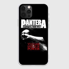 Чехол для iPhone 12 Pro Max с принтом Pantera в Санкт-Петербурге, Силикон |  | Тематика изображения на принте: american | anselmo | havy metal | pantera | philip anselmo | trash metal | ансельмо | пантера | фил ансельмо