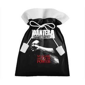 Подарочный 3D мешок с принтом Pantera в Санкт-Петербурге, 100% полиэстер | Размер: 29*39 см | Тематика изображения на принте: american | anselmo | havy metal | pantera | philip anselmo | trash metal | ансельмо | пантера | фил ансельмо